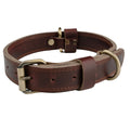Boston Leather Dog Collar Medium
