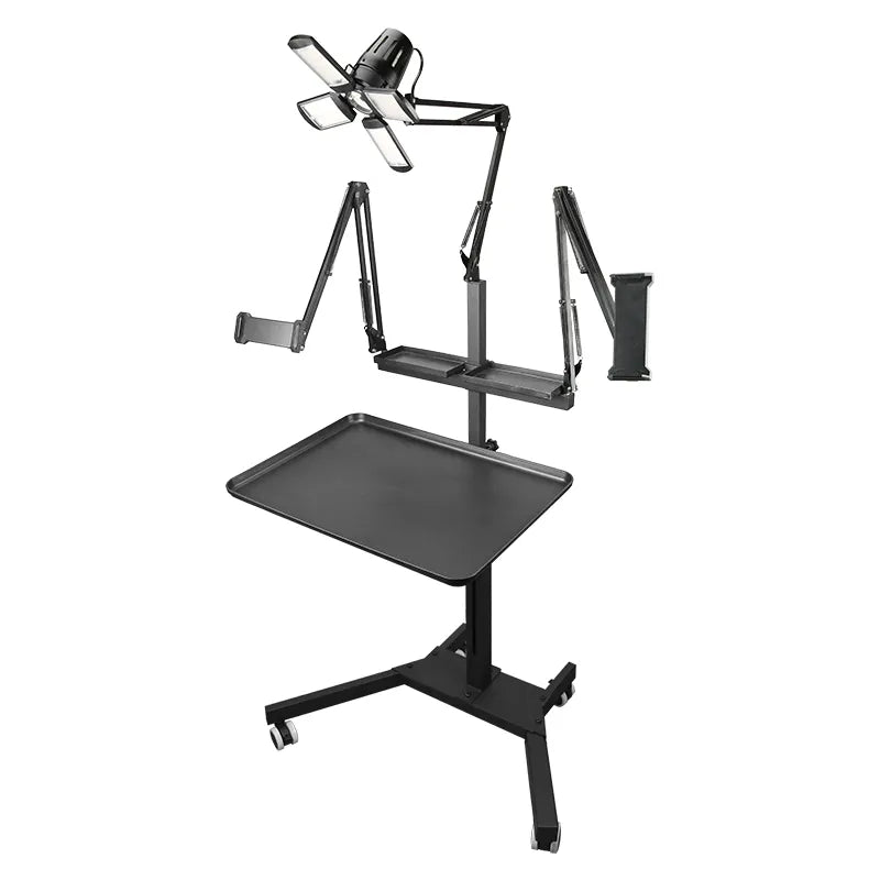 Taidu Multi-Functional Double Holder Tattoo Bench