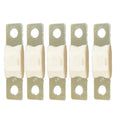 Victron MEGA Fuse 100A/80V (Package of 5 Pieces)