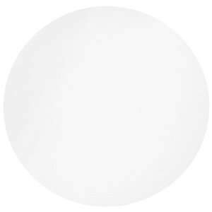 Whatman 5202-200 Filter Paper, 20cm, Grade 202, 100/pk