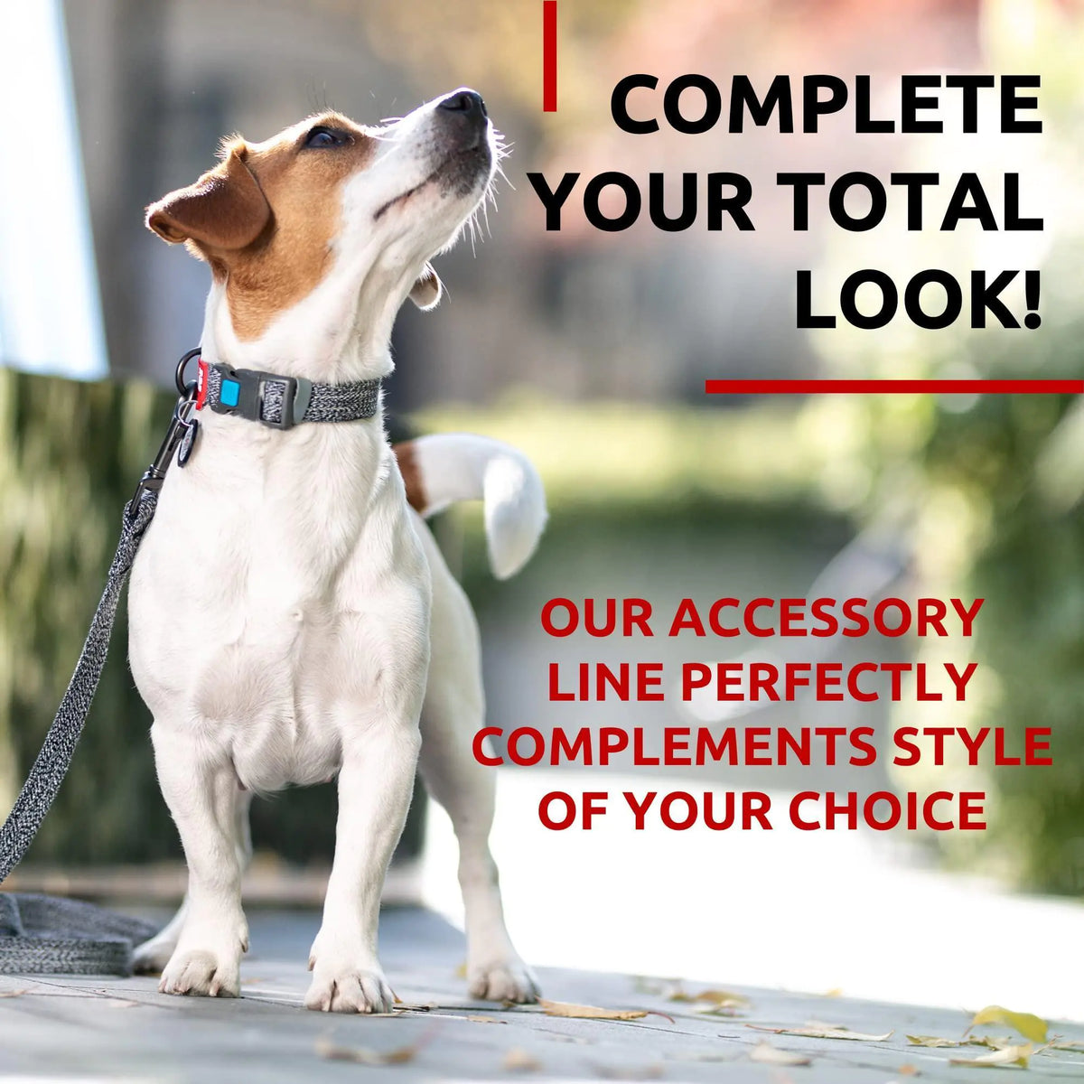 Recycled Cotton Dog Leash 6 Ft