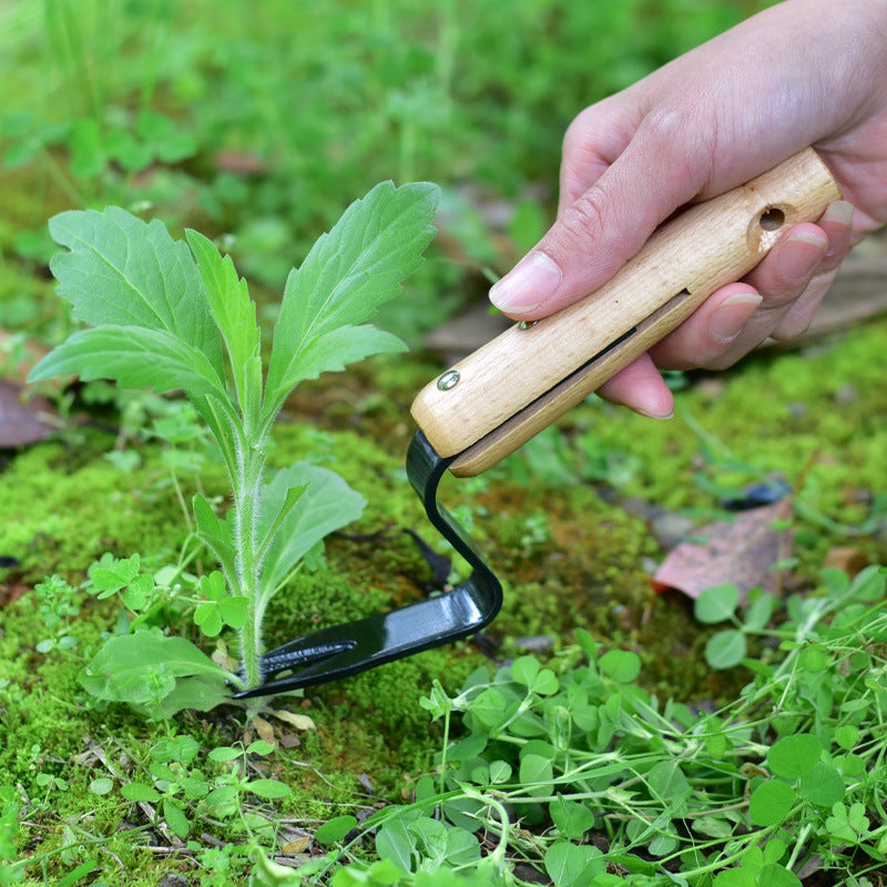 Garden Weeding and Seedling Rooting Tool