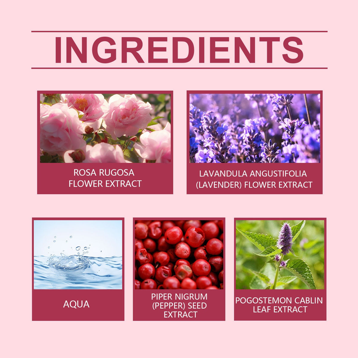 Rose Fragrance Fresh Powder Perfume, Natural Fragrance Niche Charming Charm Perfume Pheromone Fragrance Eau De Toilette