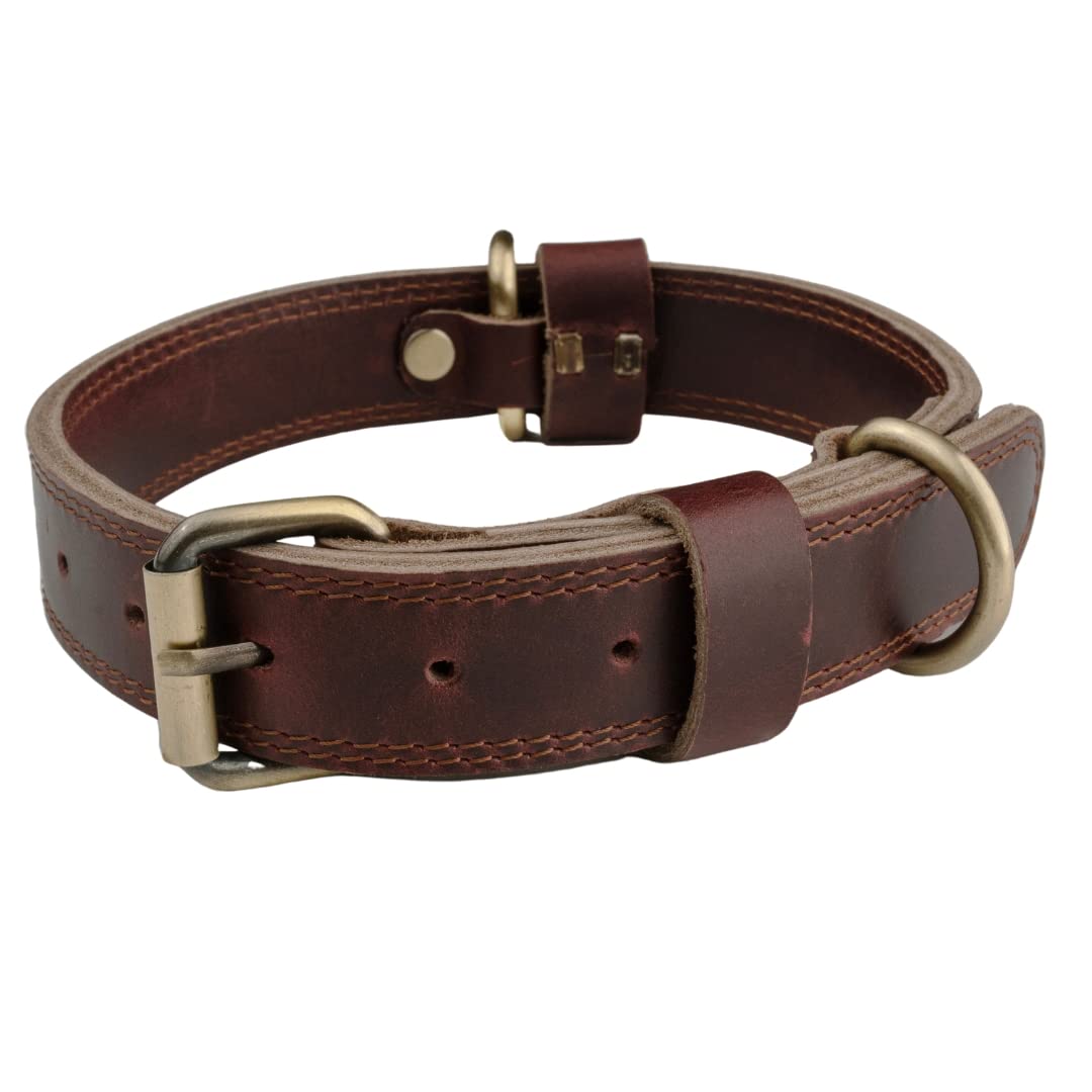 Boston Leather Dog Collar Medium