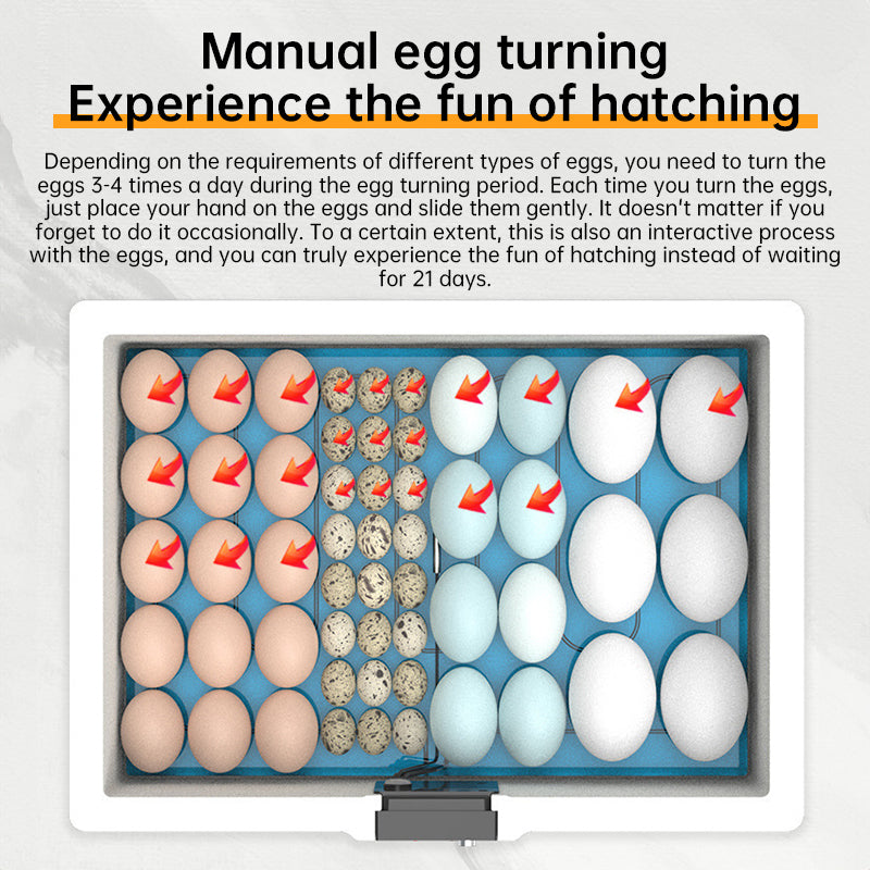 24 - hr Thermostatic Small Poultry Incubator. Biomimetic Waterbed. Auto & Smart. For Chick, Duck & Goose Eggs