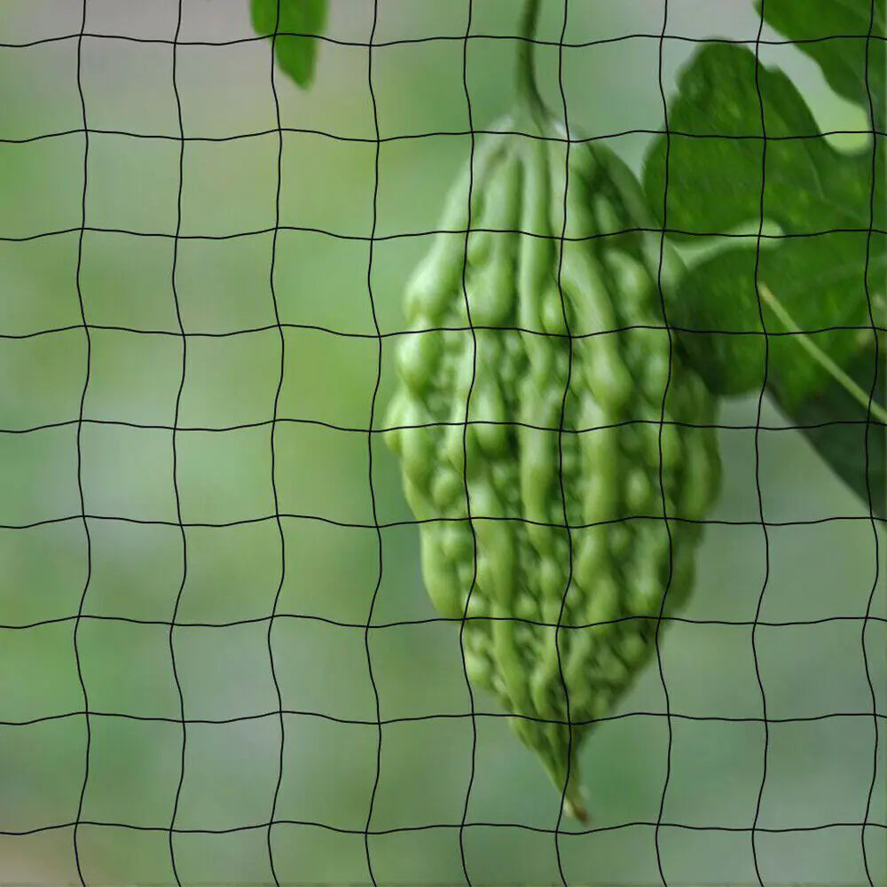 33FT Anti Bird Netting Pond Net Protection Tree Crops Plants