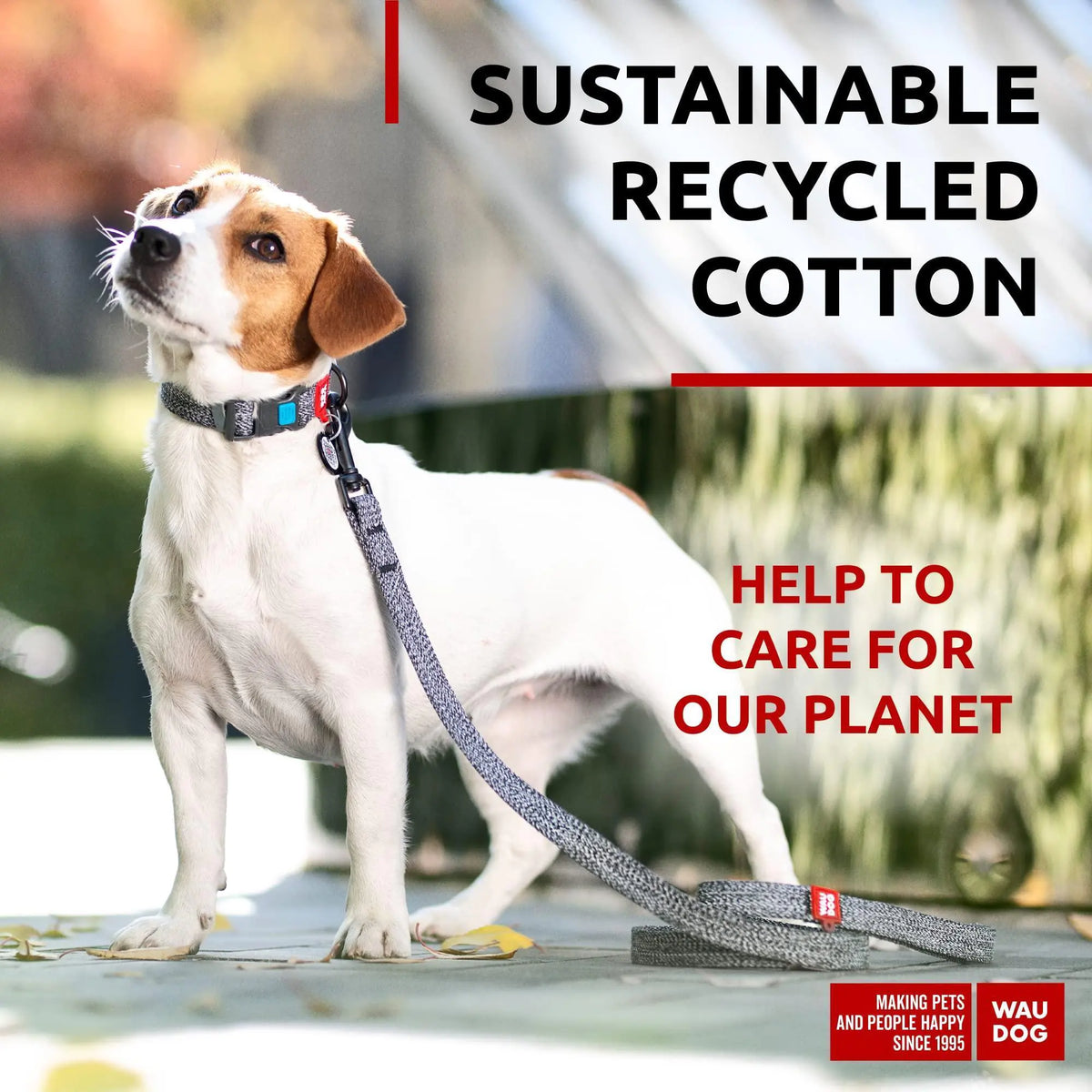 Recycled Cotton Dog Leash 6 Ft