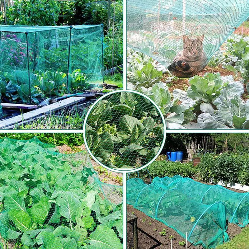 33FT Anti Bird Netting Pond Net Protection Tree Crops Plants