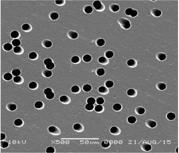 GVS 1221385 Poretics™, Filtration Membrane Polyester Track Etched 142mm 0.2 µm