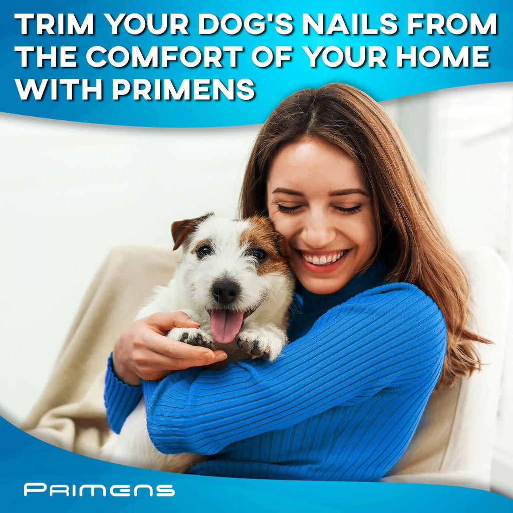 Dog Nail Grinder Head 3-Pack