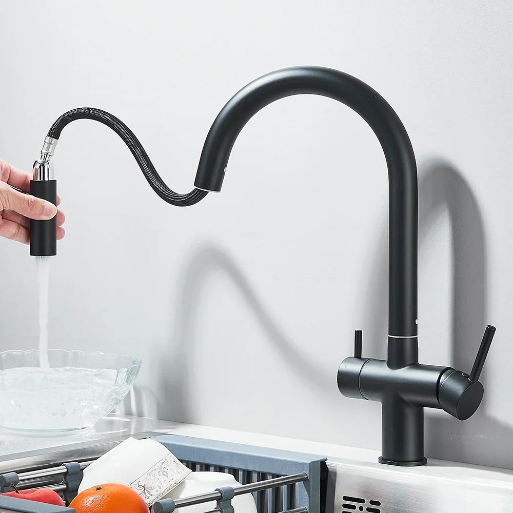 Filtered Kitchen Faucet Retractable