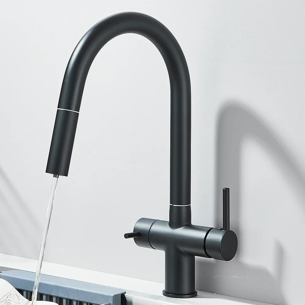 Filtered Kitchen Faucet Retractable