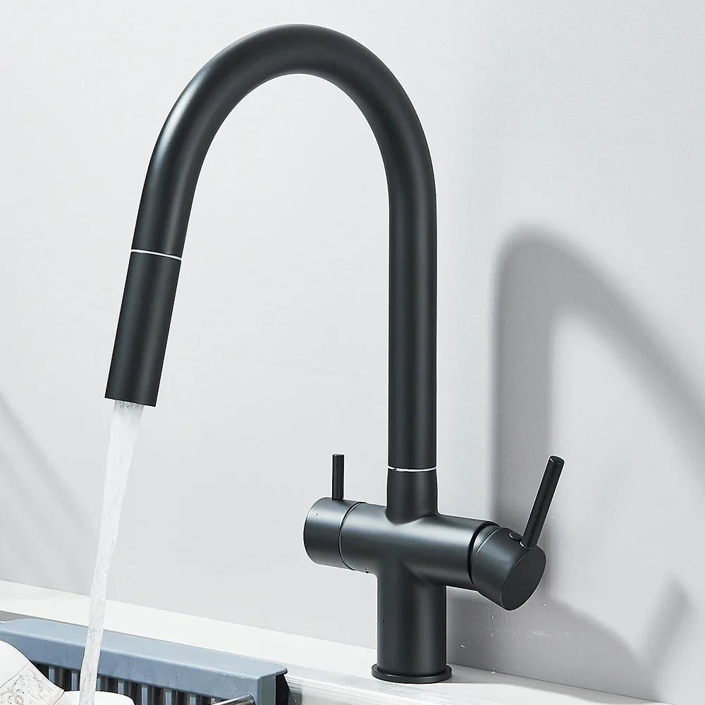 Filtered Kitchen Faucet Retractable