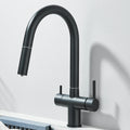Filtered Kitchen Faucet Retractable