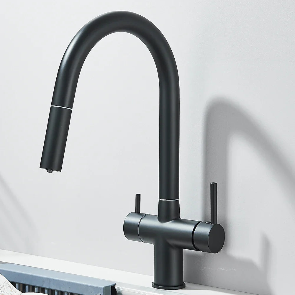 Filtered Kitchen Faucet Retractable