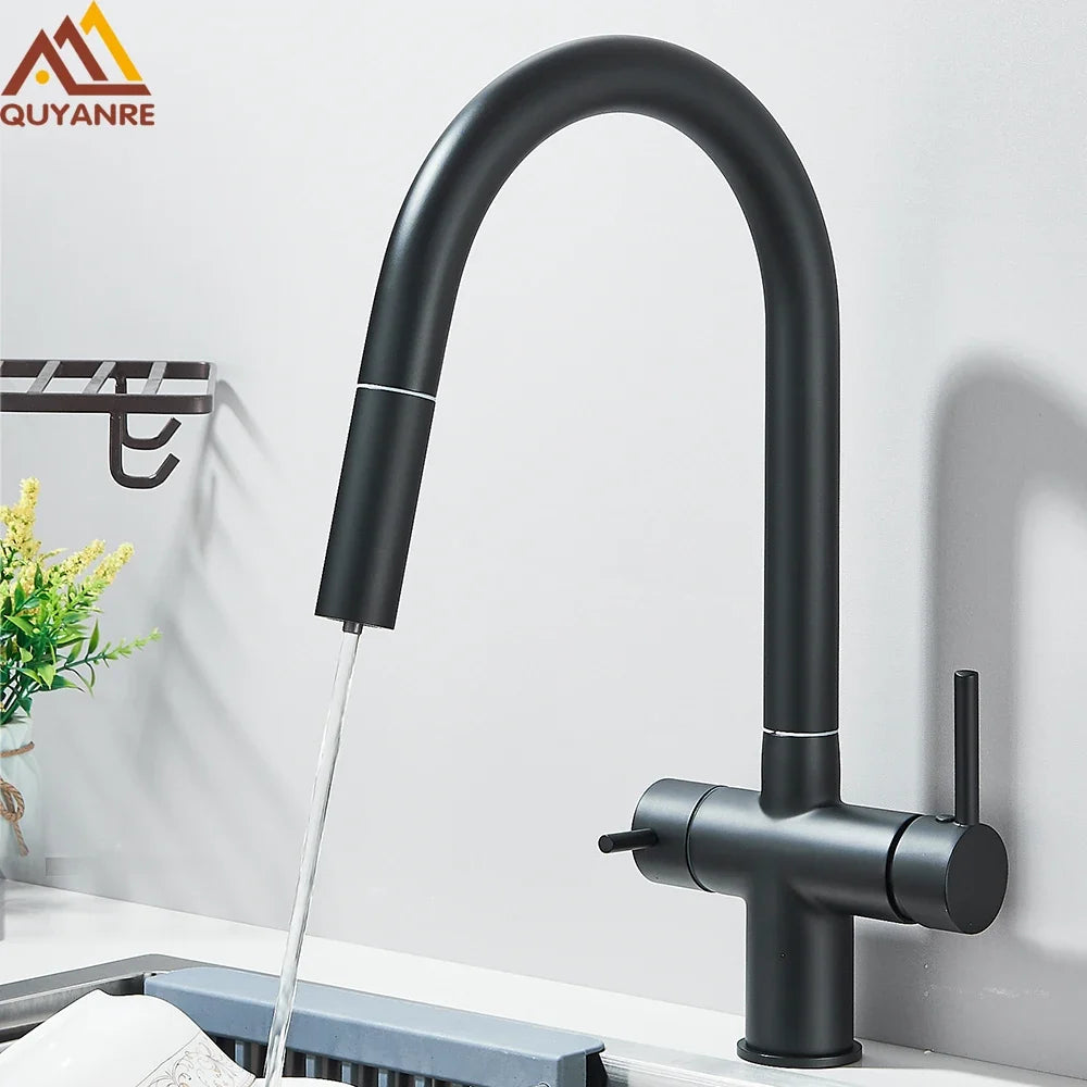 Filtered Kitchen Faucet Retractable