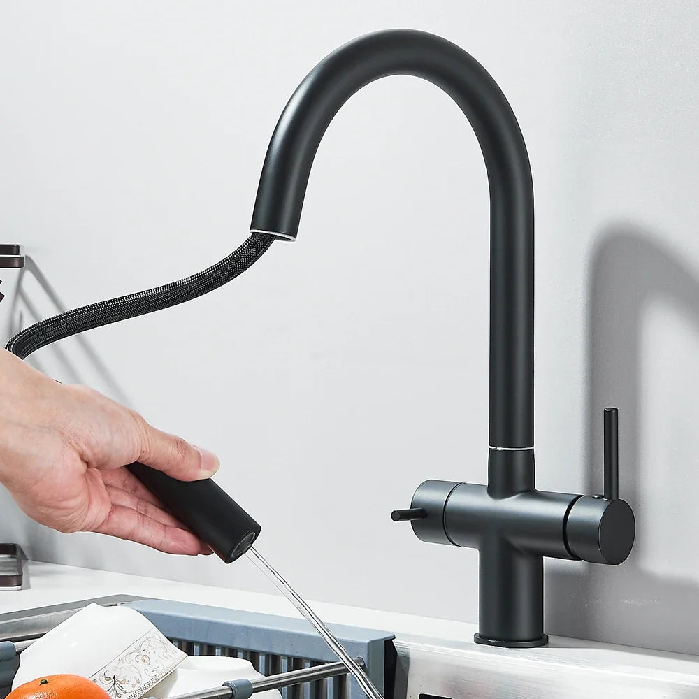 Filtered Kitchen Faucet Retractable