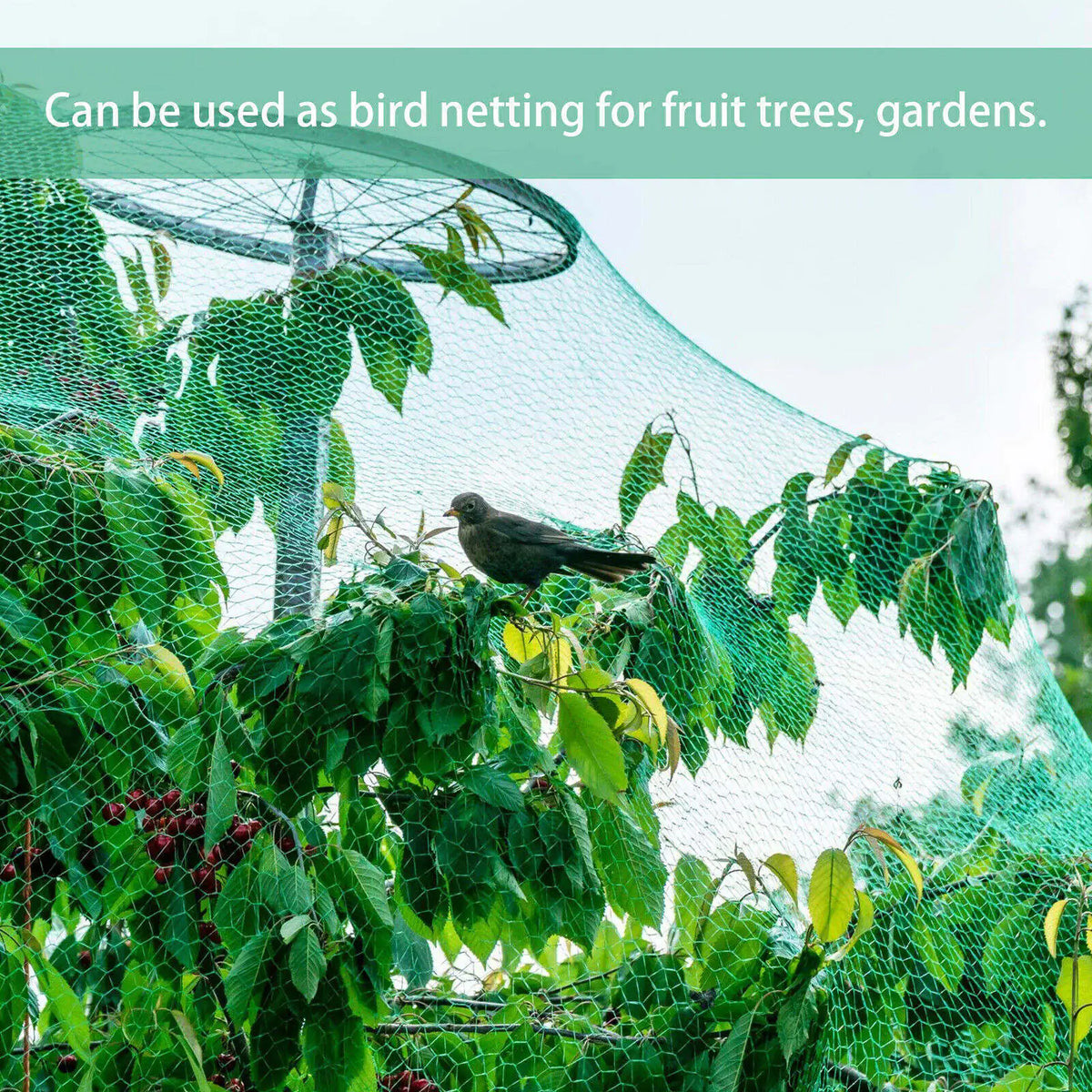 33FT Anti Bird Netting Pond Net Protection Tree Crops Plants