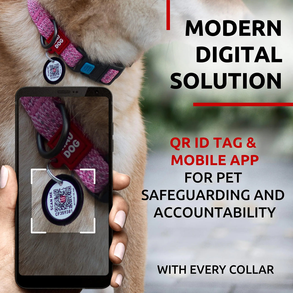 Reflective Cotton Dog Collar Eco Friendly Alt Nylon Collar 10 16