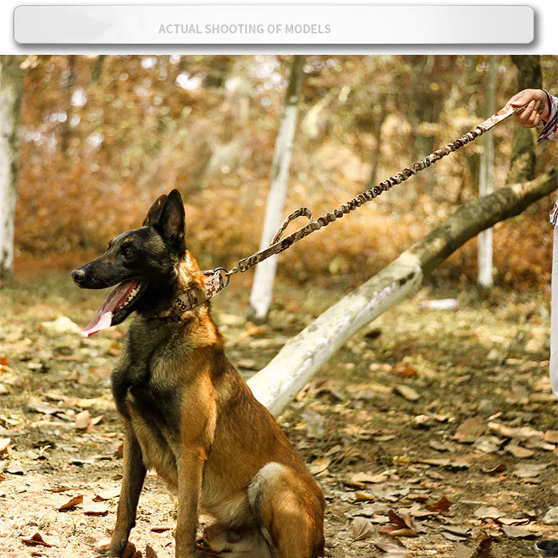 2" Tactical Heavy Duty Nylon Dog Collar K9 Military Metal Buckle