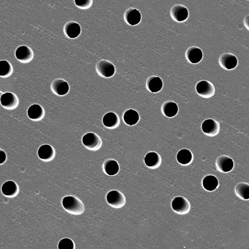 GVS 1221385 Poretics™, Filtration Membrane Polyester Track Etched 142mm 0.2 µm