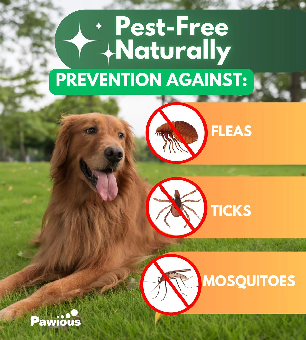 Parasites Prevention Dogs Chewables Natural Dog Insects Control