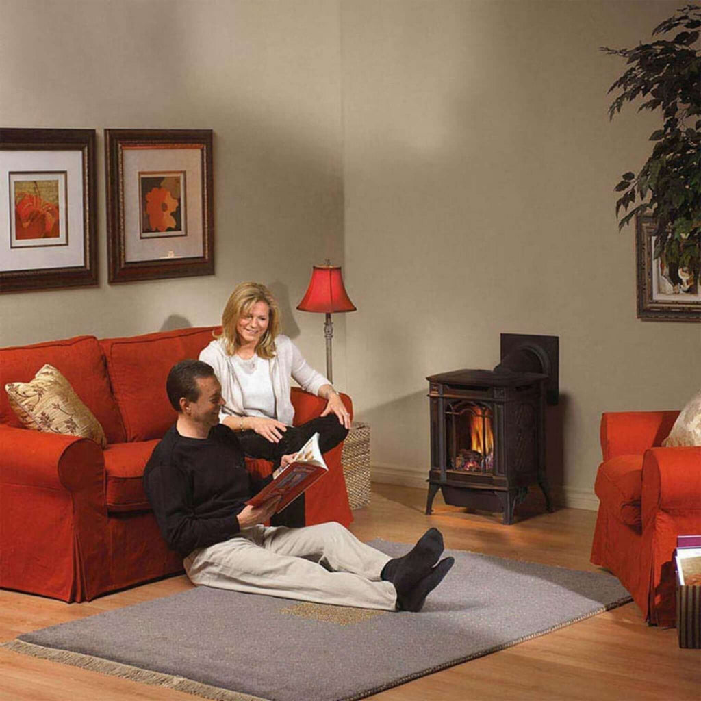 [GDS20NNSB] Napoleon Arlington 20 Gas Stove