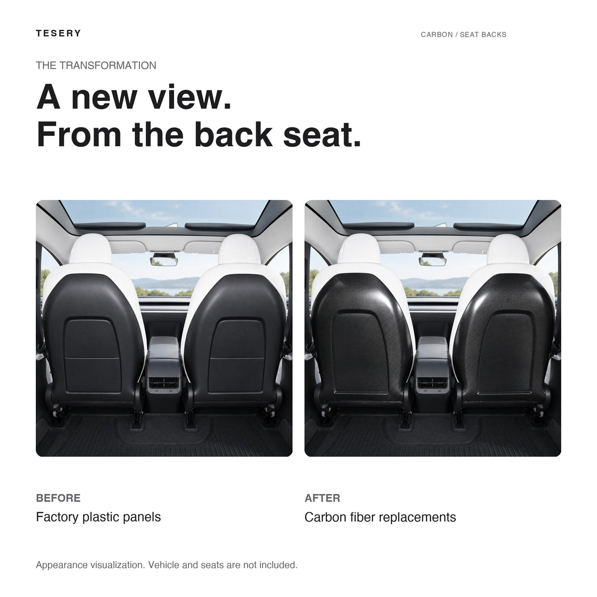 Backseat Replacement Carbon