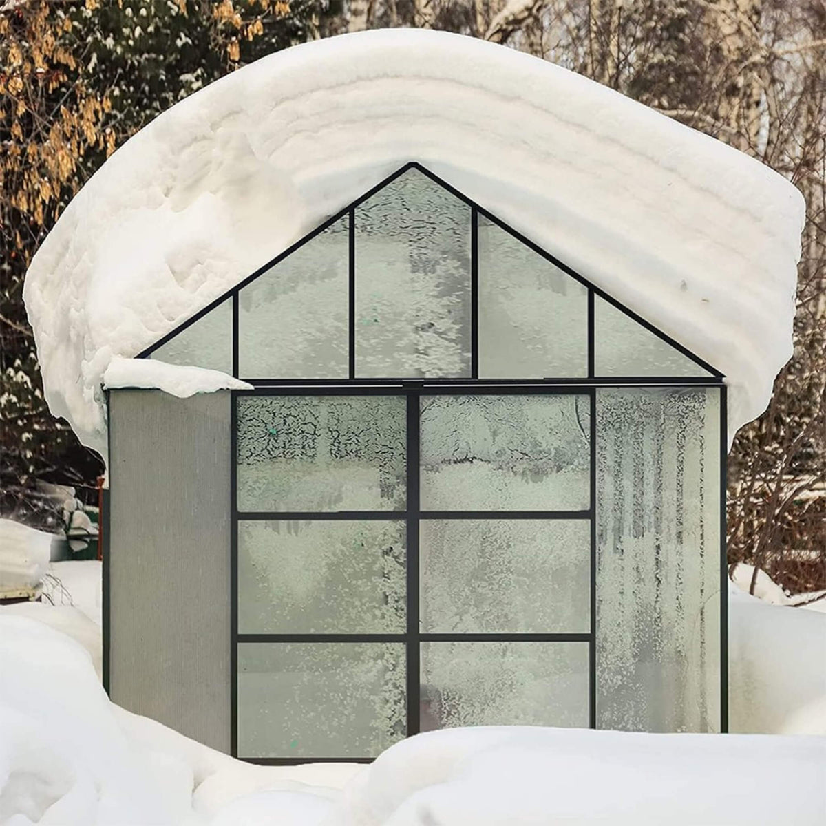 [10X12FT] Polycarbonate Greenhouse 12FT