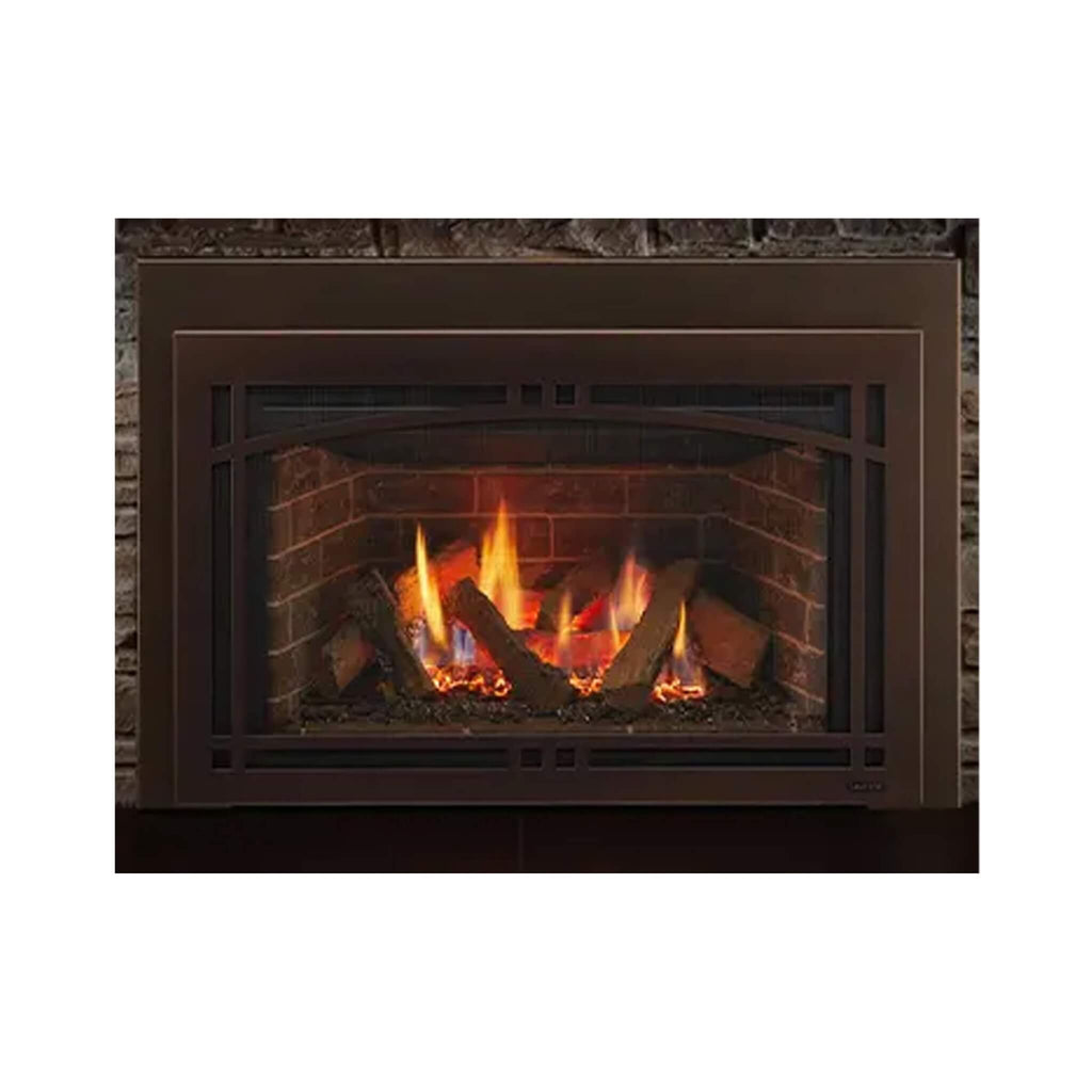 Majestic Ruby 25-Inch Direct Vent Insert [Ruby25In/Il]