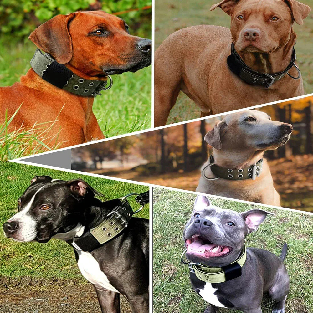 2" Tactical Heavy Duty Nylon Dog Collar K9 Military Metal Buckle