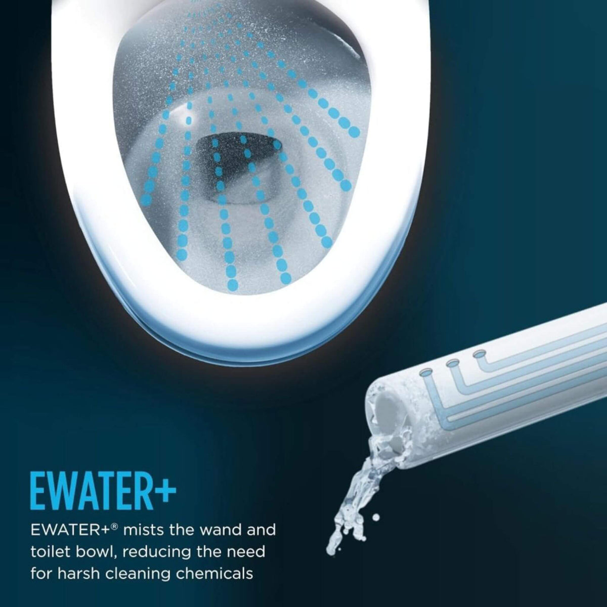 [MW7864726CEG#01] TOTO Drake Bidet Toilet