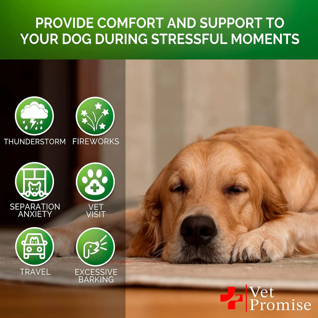 Hemp Dog Calming Chews