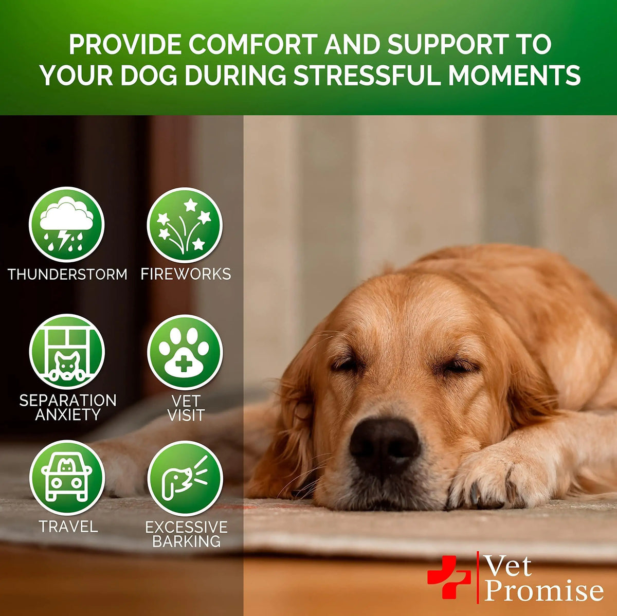 Hemp Dog Calming Chews