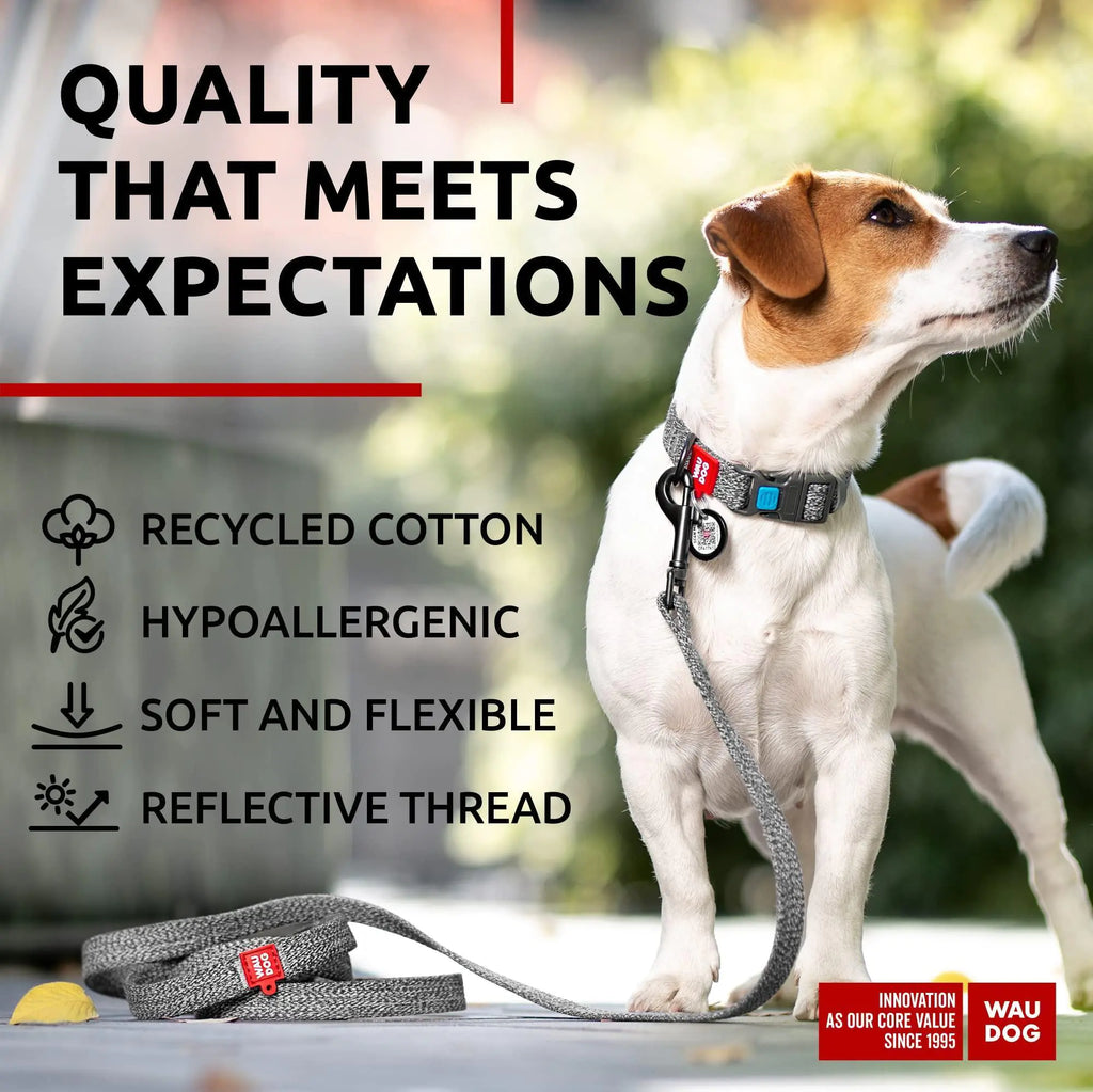 Recycled Cotton Dog Leash 6 Ft