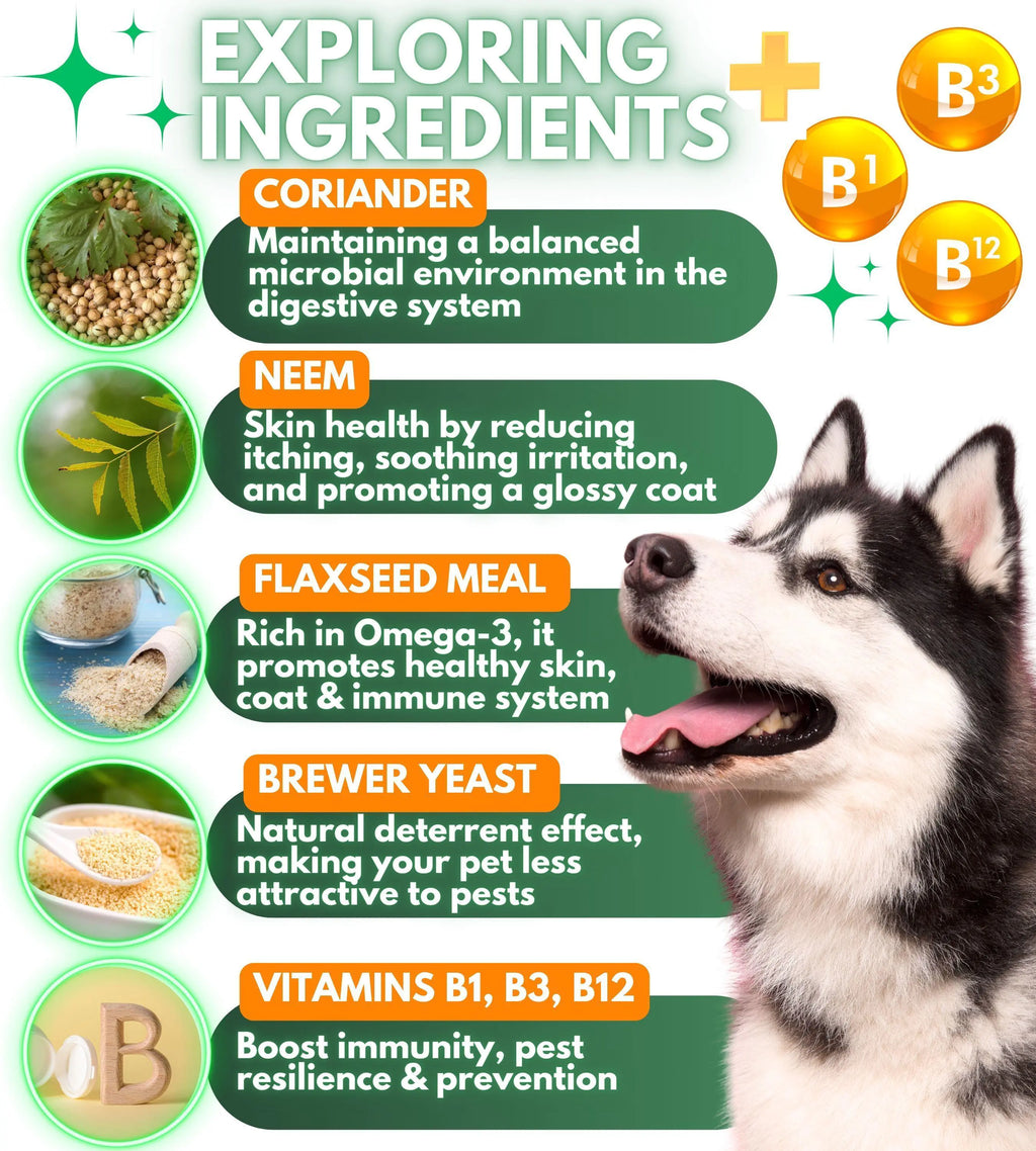 Parasites Prevention Dogs Chewables Natural Dog Insects Control