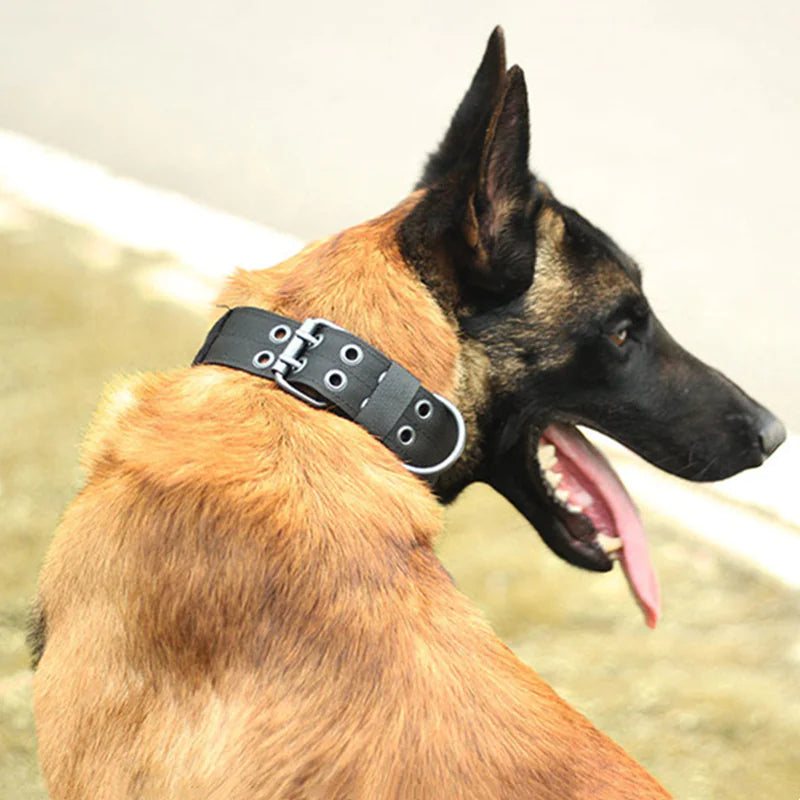2" Tactical Heavy Duty Nylon Dog Collar K9 Military Metal Buckle